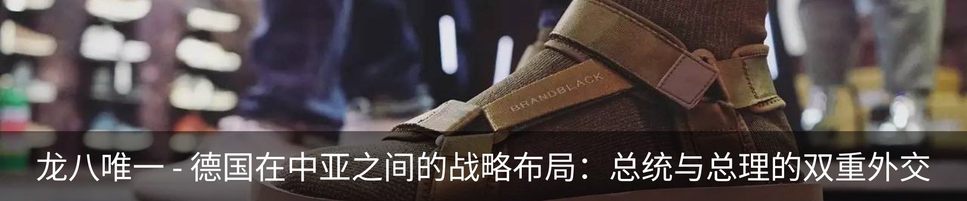 新闻动态